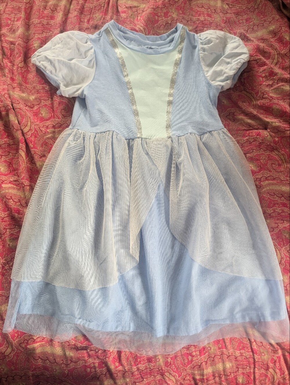 Cinderella Gap Light Blue Tulle Party Dress with Silver Trim